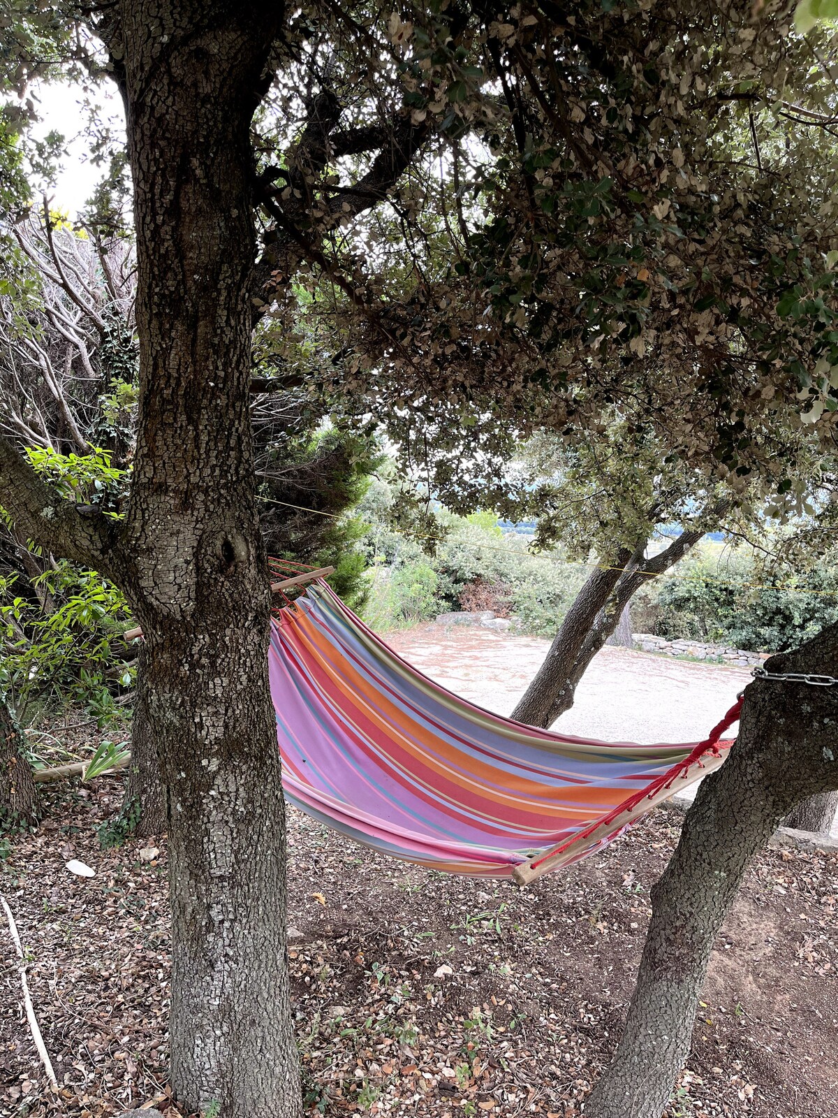 Hamac rayé suspendu entre arbres, dans sous-bois paisible aux couleurs automnales.