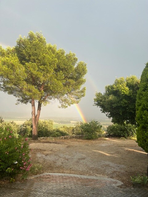 Paysage arboré avec arc-en-ciel double dans ciel partiellement nuageux, ambiance champêtre.