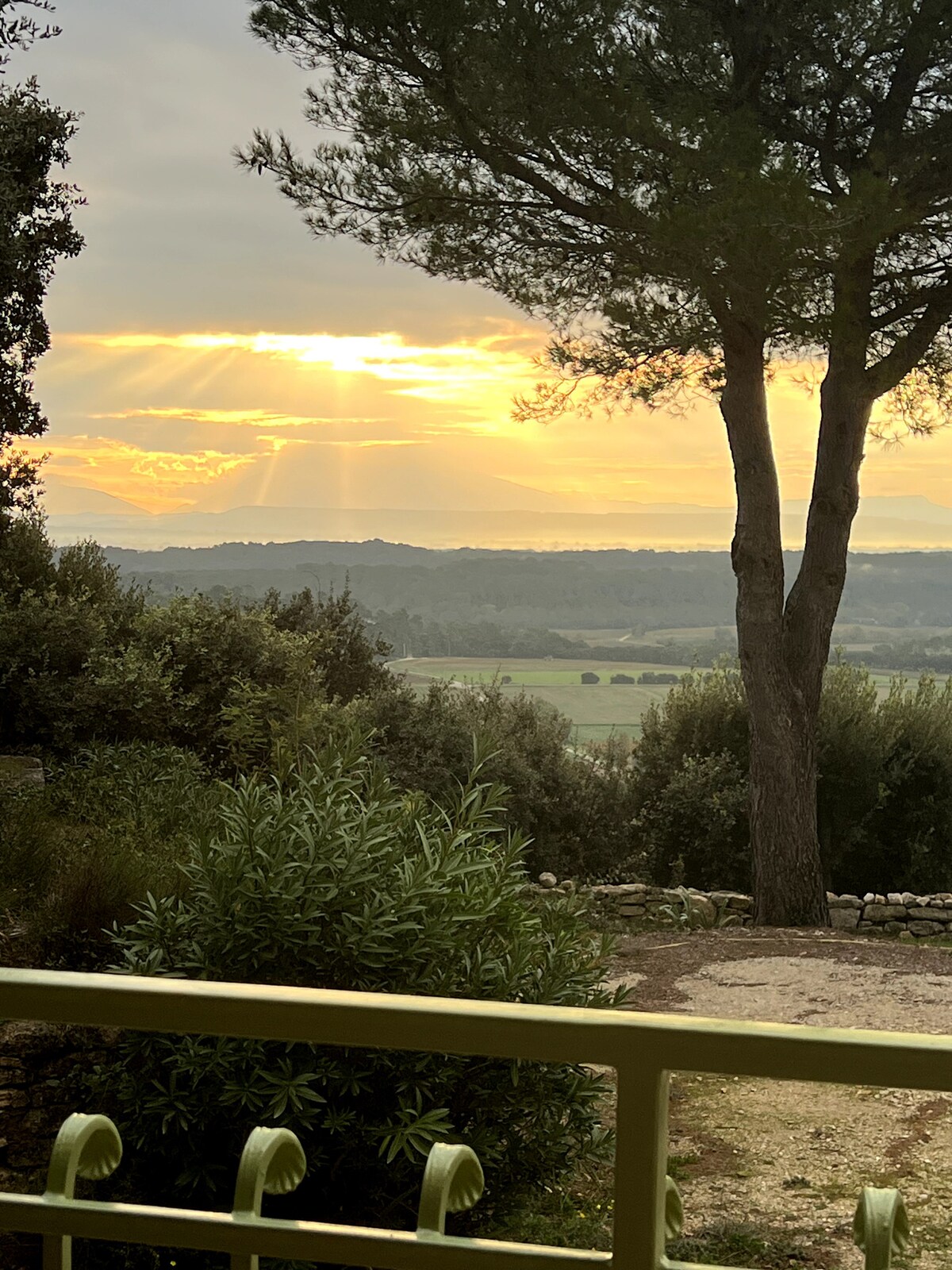 - Paysage au lever ou coucher du soleil, ciel doré, arbre solitaire et vue sur collines agricoles.