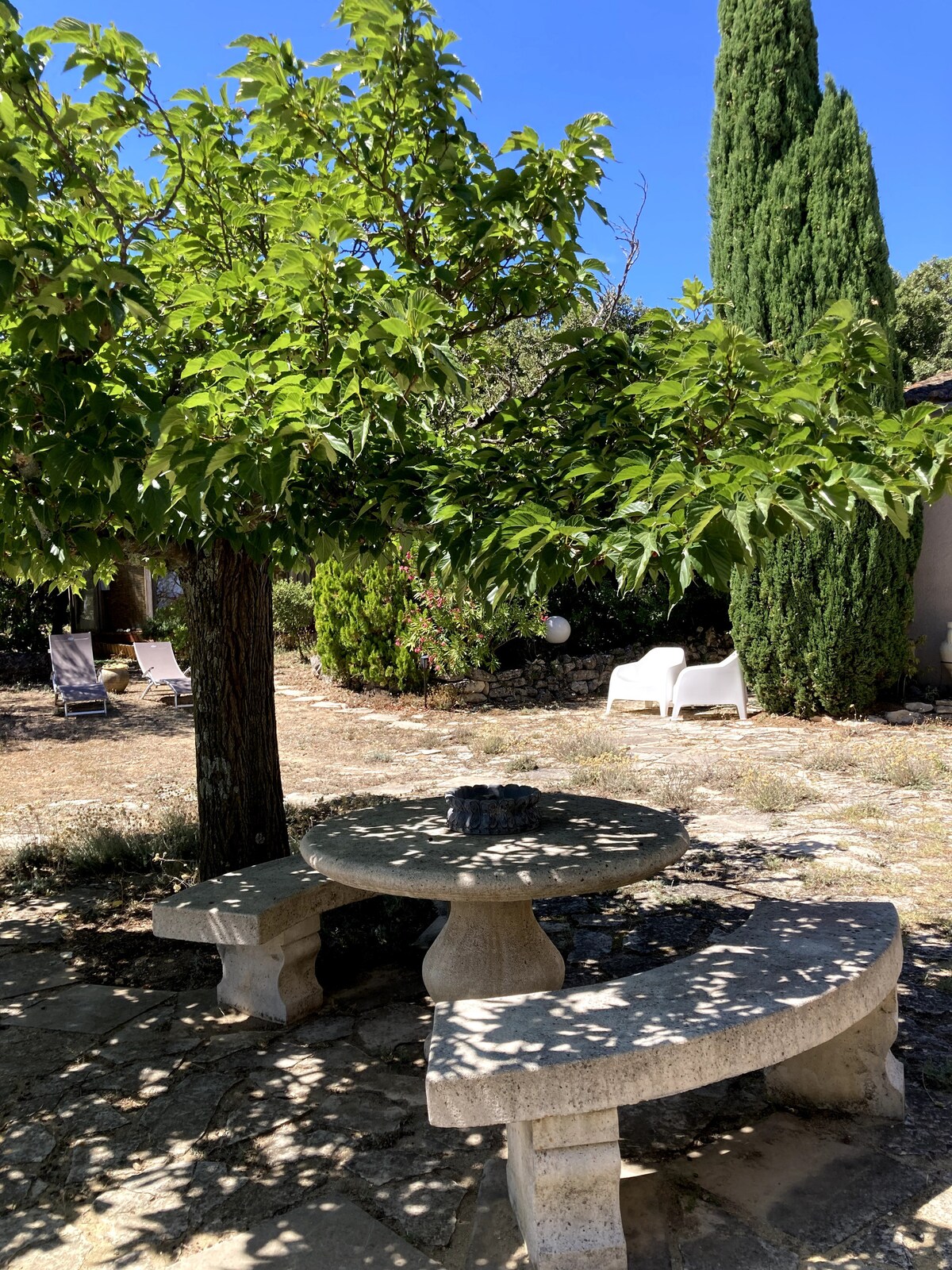 Table et bancs en pierre sous arbre feuillu, avec transats et cyprès en arrière-plan.
